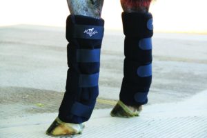 Best Ice Boots For Horses