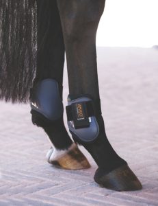 Best Tendon Boots For Horses