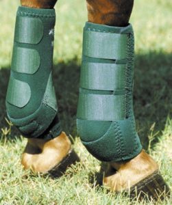 Best Fly Boots For Horses