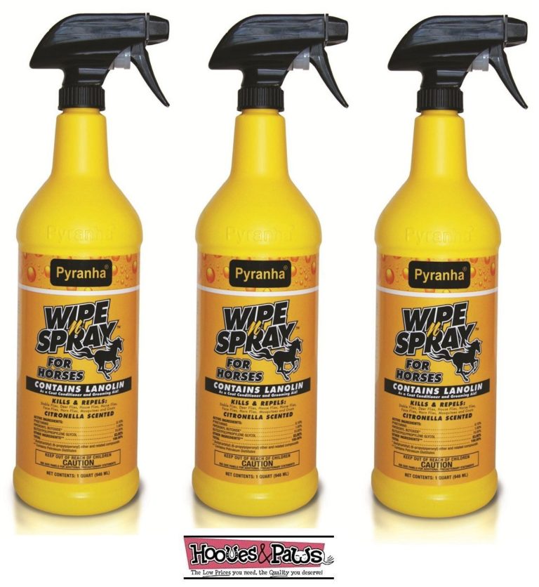 Best Fly Sprays For Horses That You Will Ever Need Best Horse Gears