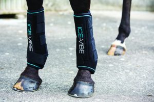 Best Ice Boots For Horses