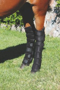 Best Ice Boots For Horses