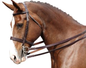 Types of bridle