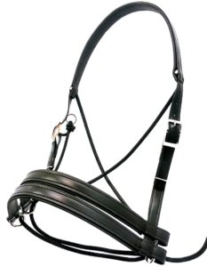 best bitless bridle reviews