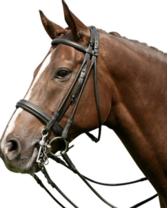Types of bridle