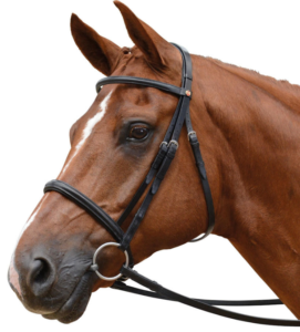 Types of bridle