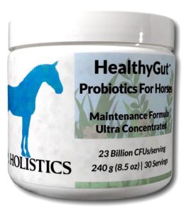 Best Probiotics for horses