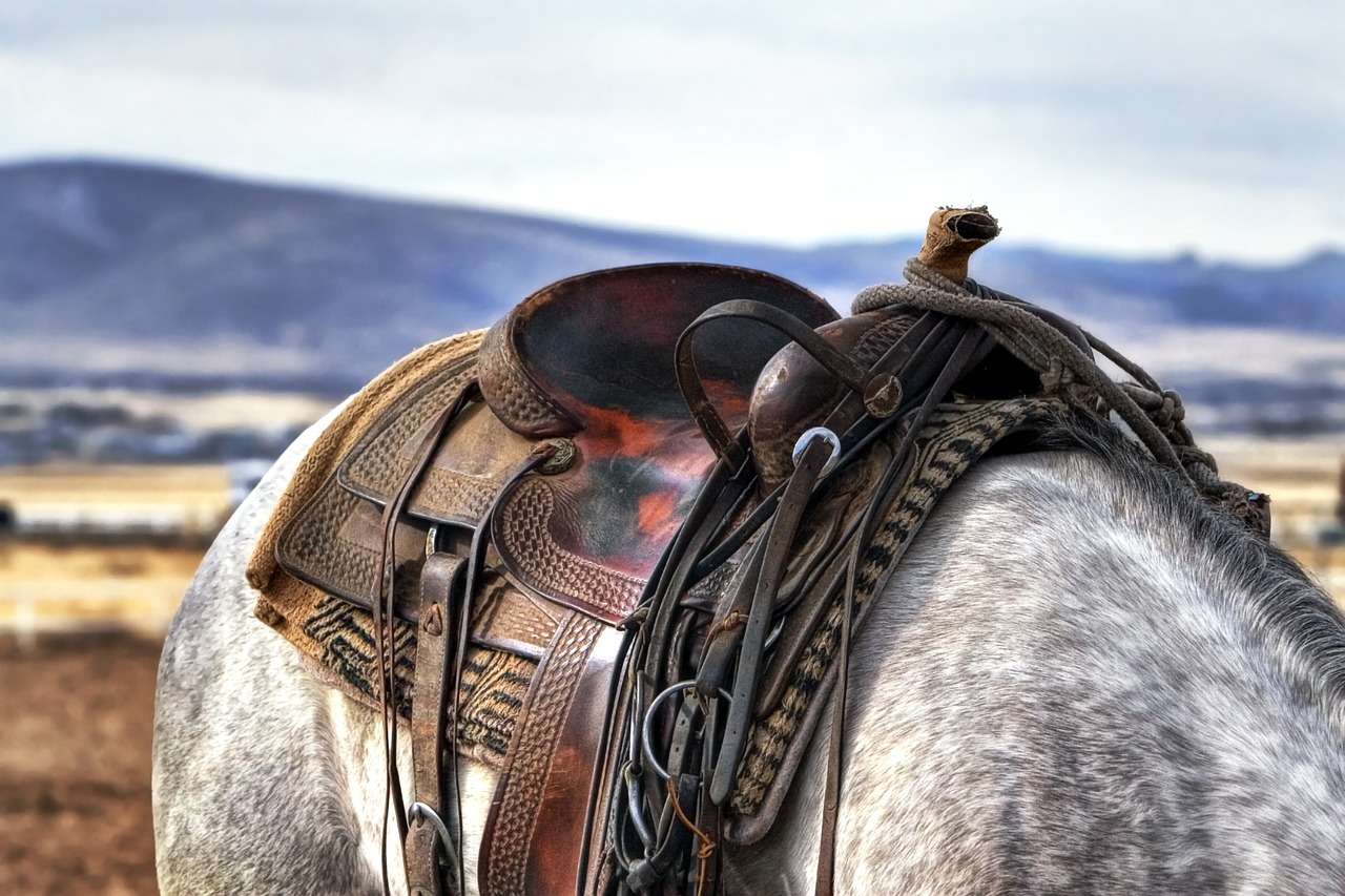 english-saddles-vs-western-saddles-best-horse-gears