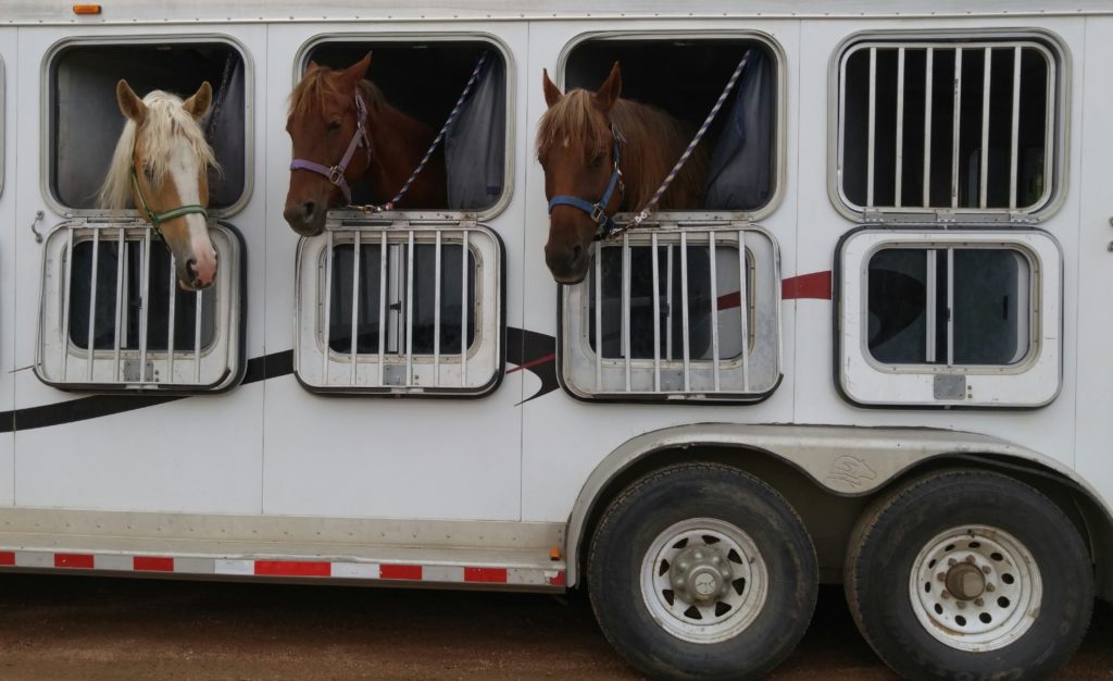 Travel with horse tips